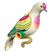 2025 Fruit Dove, Beauty of Birds Complement, Club Exclusive - DB
