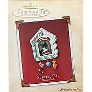 2002 Special Cat  