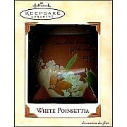 2002 White Poinsettia 