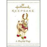2006 A Playful Pup