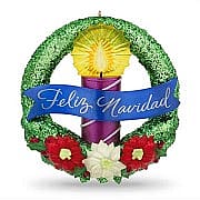 2017 La Luz de la Navidad