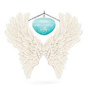 2017 Wings to Fly