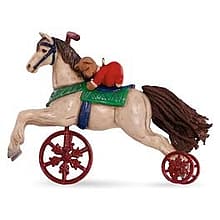 2016 A Pony for Christmas #19