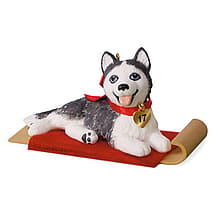2017 Siberian Husky, Puppy Love #27