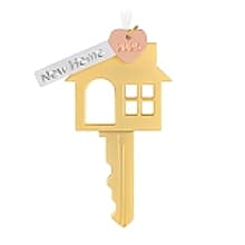 2025 New Home