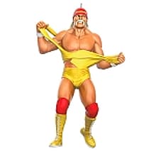2024 Hulk Hogan WWE - RARE