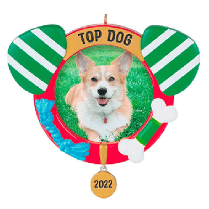 2022 Top Dog, Photo Holder