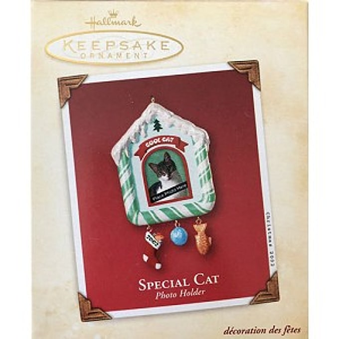 2002 Special Cat  