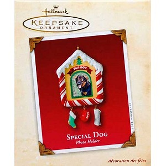2002 Special Dog 