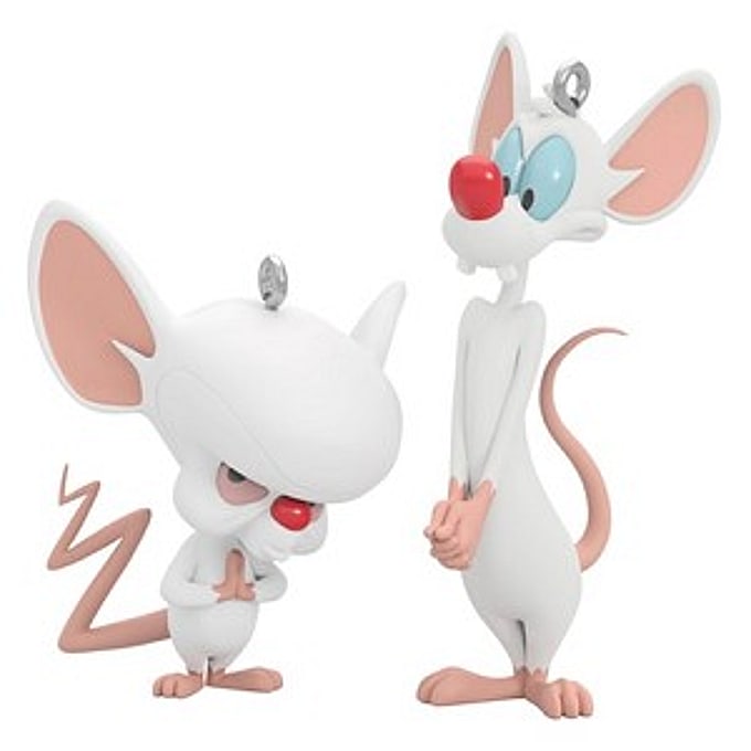 2022 Pinky and The Brain, Animaniacs - EARLY SELL OUT - RARE