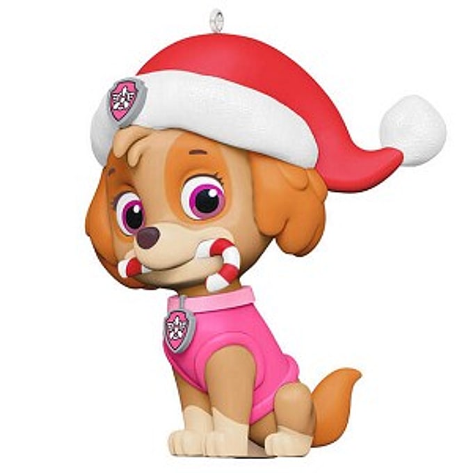 2024 Skye's Sweet Treat, Paw Patrol