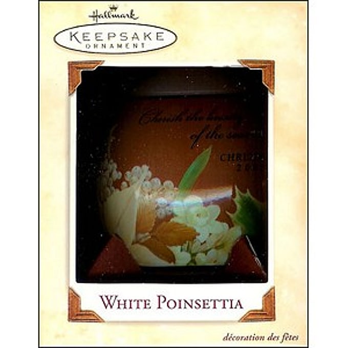 2002 White Poinsettia 