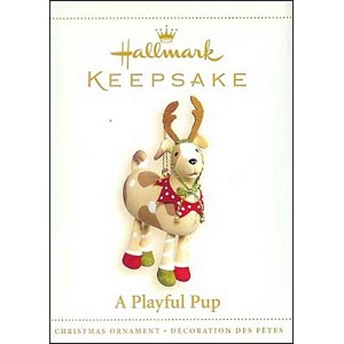 2006 A Playful Pup