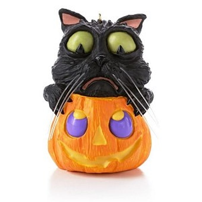 2013 Cat O' Lantern