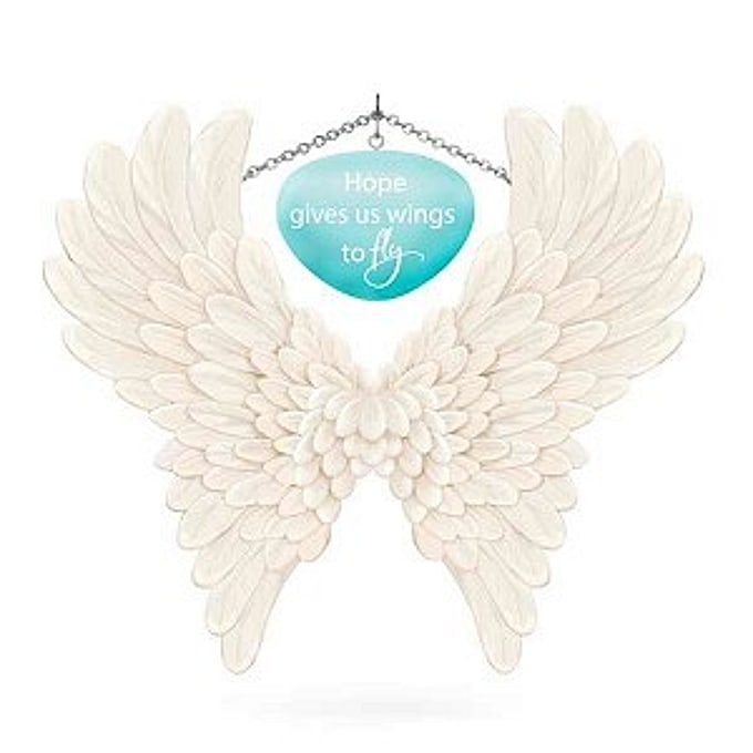 2017 Wings to Fly