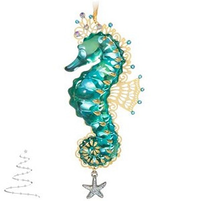 2020 Splendid Seahorse