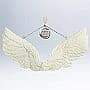 2011 Angel Wings - image 1