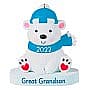 2022 Great Grandson - image 1