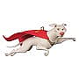 2022 Krypto, DC League of Super Pets - image 1