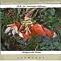 1993 Riding in the Woods, Fox, Folk Art Americana - image 2