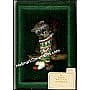 1982 Raccoon Surprises - NT - image 1