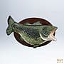 2012 Loudmouth Bass, Magic - image 1