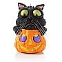 2013 Cat O' Lantern - image 1