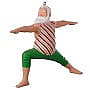 2019 Festively Flexible - image 1