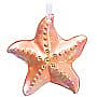 2019 Stunning Starfish - image 1